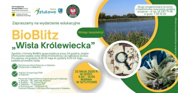 bioblitz_wisla_krolewiecka
